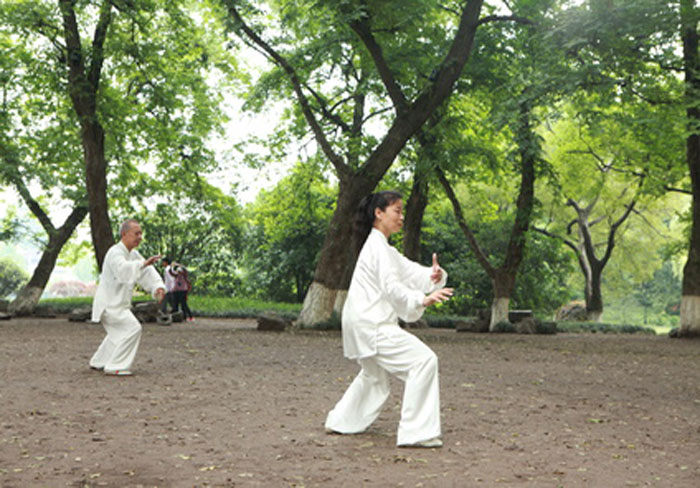 histoire tai chi chuan